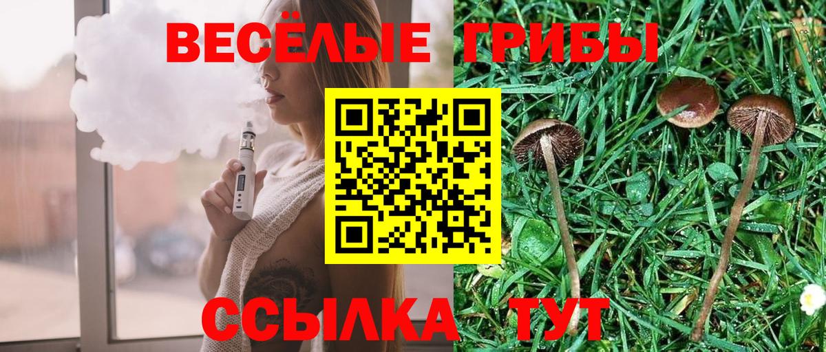 Псилоцибиновые грибы Magic Shrooms  Вход с VPN  Великий Устюг  Галлюциногенные грибы Cubensis 