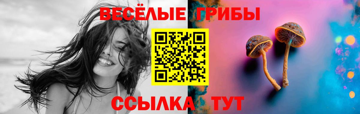 Галлюциногенные грибы Cubensis Великий Устюг